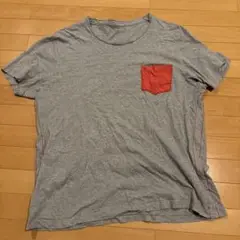 トゥルーレリジョンTシャツ