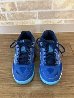 Item thumbnail for item a2d7cbc6-c43f-4d94-a1a5-0a25fb1f9ce3