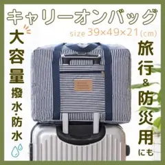 Item thumbnail for item 60fc79a5-a7c2-4d3e-87e3-43eb118d0770