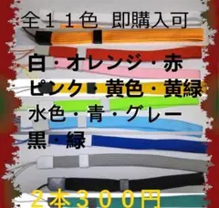 即購入可　全１１色ストッパー付ストラップ平らタイプ　2本３００円