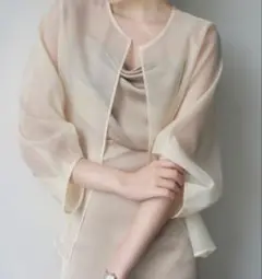 シースルーカーディガン　Ｍ　ベージュのみ
