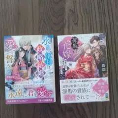 薄墨の花嫁 灰髪の少女は、黒曜剣士と初めての恋をする　他1冊