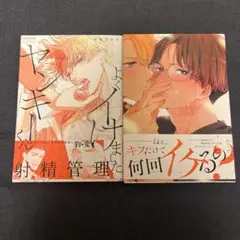 よくイけましたヤンキーくん おねだりもキスも欲しくない