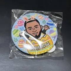 福岡ソフトバンクホークス ヘルナンデス 若鷹ガチャ 缶バッジ イースター