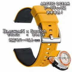 Item thumbnail for item 1ed1a425-3884-4c3c-848d-470e104a0a88