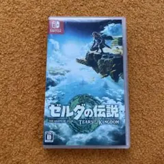 ゼルダの伝説 ティアーズ オブ ザ キングダム