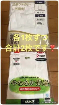 Item thumbnail for item be172cc6-5f06-4c6f-b8d6-96a8c227aa77