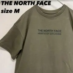 【希少 入手困難】ノースフェイス　プリント　tシャツ