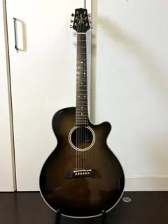 2025年最新】takamine pt 106の人気アイテム - メルカリ