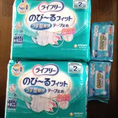 Item thumbnail for item 21488a1e-794c-4d27-85ce-c164ac3d3ee0