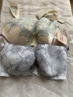 Item thumbnail for item 6da35794-78ce-4724-a102-8a0c54c0eadc