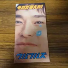 それが答えだ!
