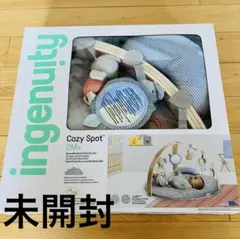【未開封】インジェニュイティ コージースポット リバーシブルジム