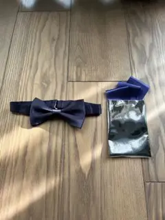 Item thumbnail for item c945160f-805b-4706-96bb-84bdbb9bcc30