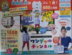 ワンダフルチャンネル