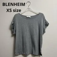BLENHEIM グレー 半袖Tシャツ　XSサイズ