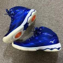 Mizuno WAVE DIVERSE DE 青 シューズ