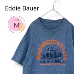 【希少】Eddie Bauer マウンテンTシャツ　プリントT 山　M ロゴ入り