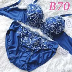 B70♥️ブラショーツセット♥️ネイビー 脇高ブラ 美胸 フラワー刺繍 258005