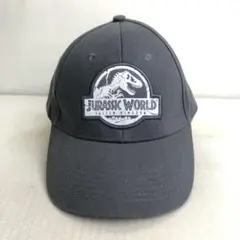 【USA古着】JURASSIC WORLD ジュラシックワールド キャップ 灰