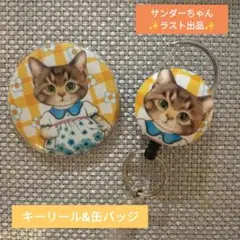 コヤンイサムチョン　サンダーちゃんキーリール&缶バッジセット