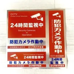 Item thumbnail for item 87662cab-9cb7-422f-8ea6-6ec9bfb30489