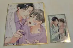 drap 25周年 記念展 園瀬もち ミニ色紙 オーロラカード
