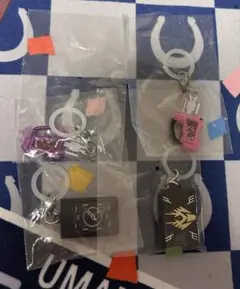 仮面ライダー めじるしアクセサリー 4個セット
