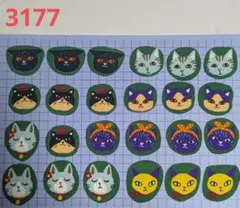 布シール 猫 カラフル 緑