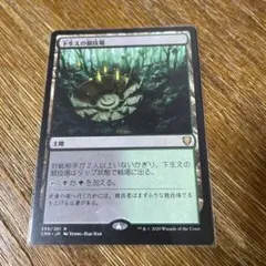 ⭐︎MTG爆買キング⭐︎　下生えの競技場　日本語