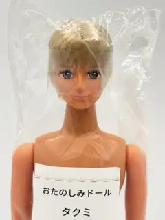 タクミ　日焼け肌　ブロンド系　リカちゃんキャッスル　リトルファクトリー