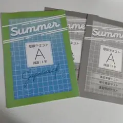 中1国語 夏期テキストA(基礎編) 教育開発出版 未使用品 送料無料！