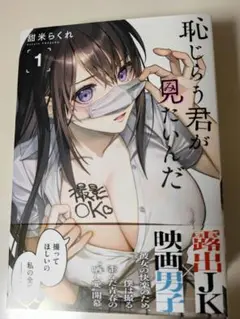 恥じらう君が見たいんだ　1、2、3、4巻セット