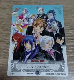 D.Gray-man アレン・ウォーカー　S-CF