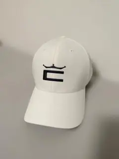 Item thumbnail for item b6d1dace-7255-40c1-abb8-2ebf2efb4629