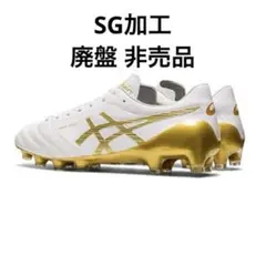 特注品 asics DSライトX-FLY4SG 24.5cm モレリア F50