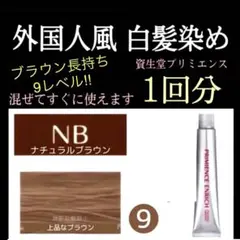 ヘアカラー 白髪染め プリミエンス ⑨ブ単【アディクシー イルミナカラー同梱割有
