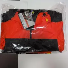 Item thumbnail for item 3461721c-b7cb-4339-8ce0-e85e57b030ef