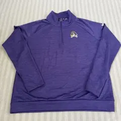 Nike DRI-FIT ハーフジップ トレーナー 紫