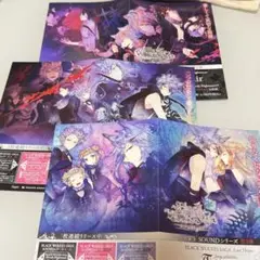 black wolves saga BWS フライヤー 冊子 配布物