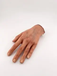 美大生の手