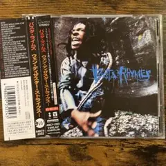 BUSTA RHYMES / WHEN DISASTER STRIKES