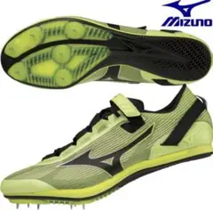 Item thumbnail for item 84a508ec-5788-4e33-86d9-3d8b4afe6cd9