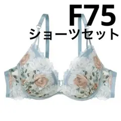 まいにち美胸ライトプリントレースブラ＆ショーツ　セット　F75 ブルー