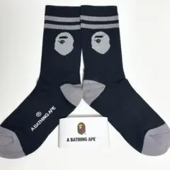 Item thumbnail for item 04539b35-f999-438c-85cd-04216a58ac9e