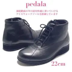 Item thumbnail for item e363dae8-c8a1-4ffc-a47d-74d65e065b93