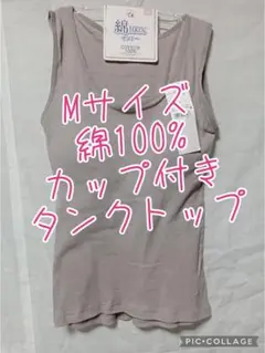 Item thumbnail for item d7afa6a0-760b-4f41-9781-4327a84fe7a4