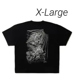 ANTIDOTE BUYERS CLUB / Fade Wash S/S Tee