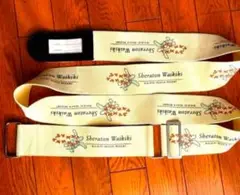 Item thumbnail for item 043029e4-306d-4256-8100-d61d7974a16d