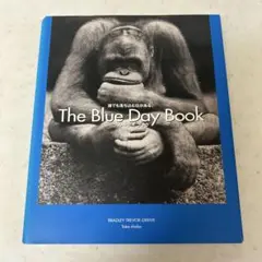 ブルーデイブック